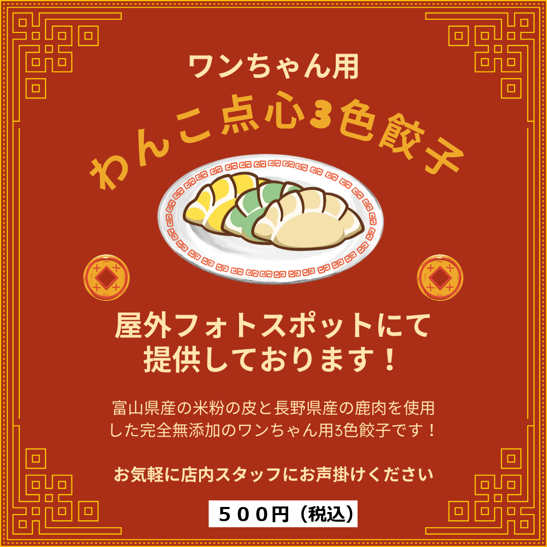 わんこ点心３色餃子セットの販売のお知らせです🐶🥟 | DOGBASE YOKOHAMA