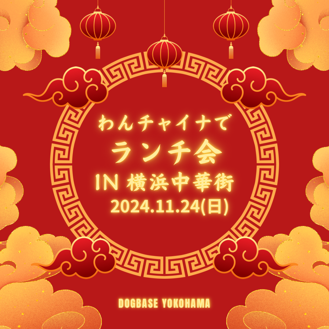 『わんチャイナでランチ会 in横浜中華街』 2024年11月24日(日)開催 わんこ用チケット