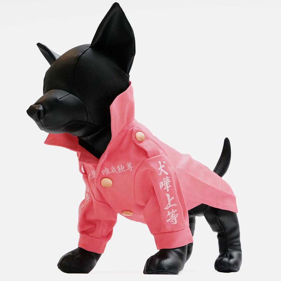 ペット用のピンクの特攻服の右側からの写真