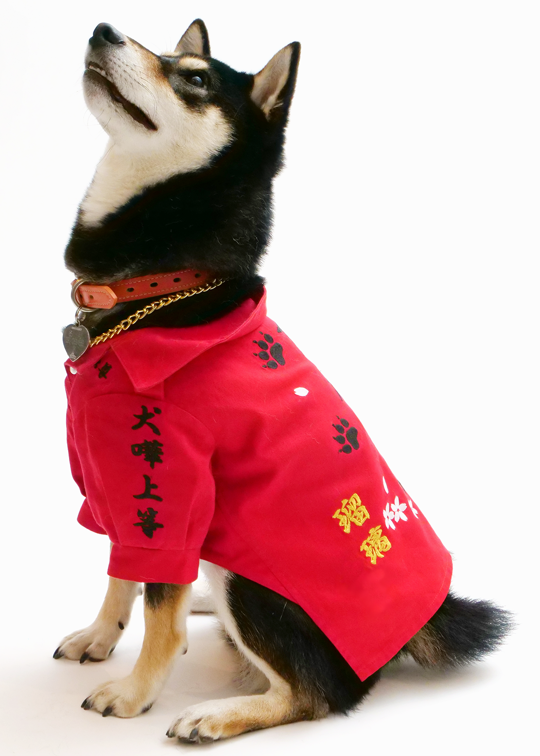 『横濱戌連合幹部決起集会』 2024年11月10日(日)開催 わんこ用チケット
