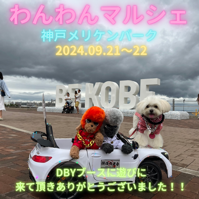 " わんわんマルシェ in KOBE メリケンパーク "★たくさんのご来場ありがとうございました！！