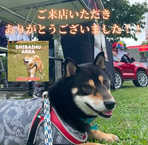 "SHIBAINU AREA in 横浜シンボルタワー "★ご来場ありがとうございました！！