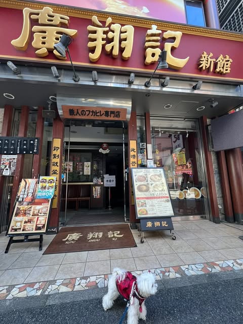 【横浜中華街　店内可わんちゃんも入店できるお店のご紹介 ◎ フカヒレ専門店　廣翔記 ◎】
