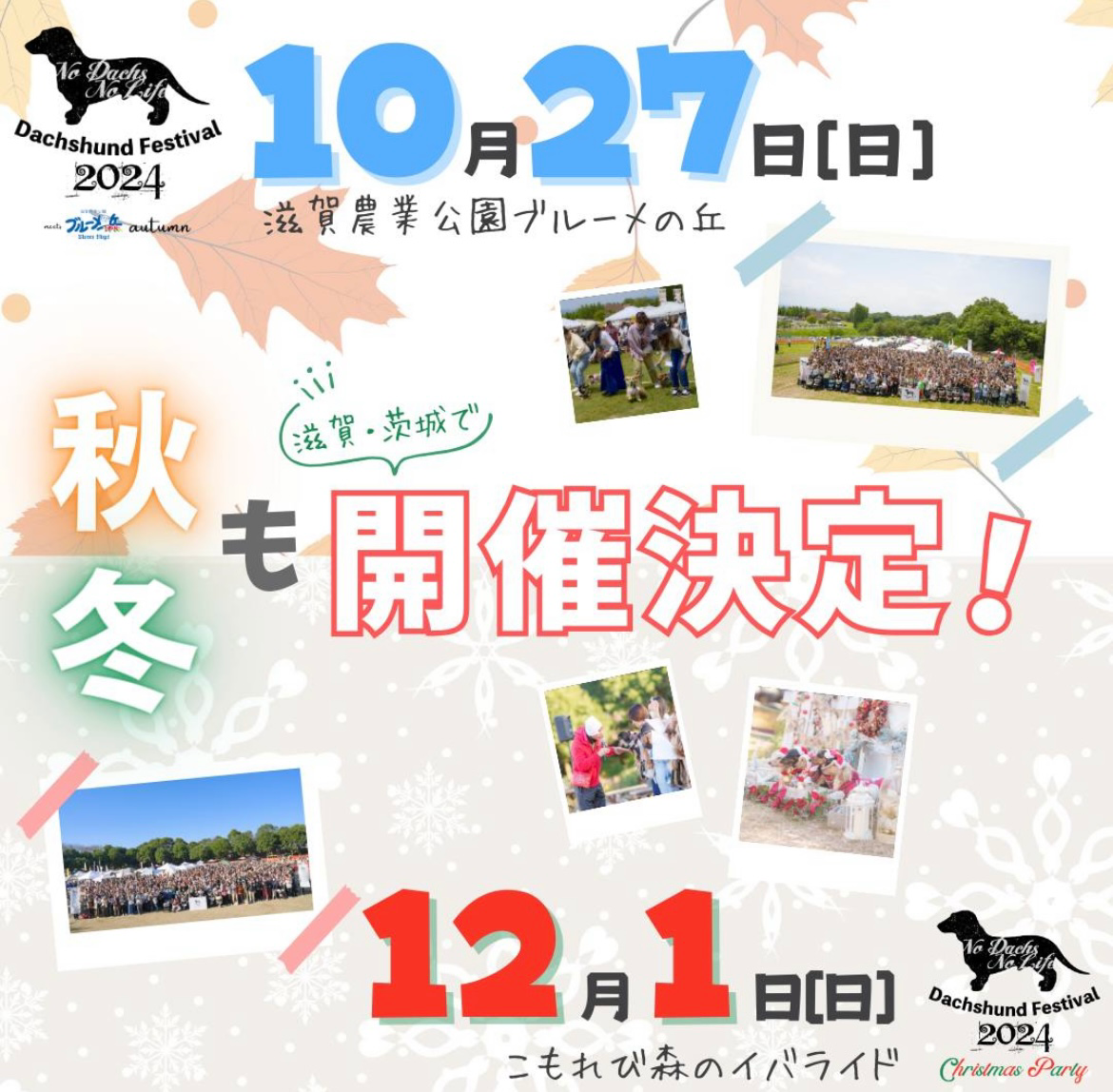 【2024年12月イベント出店情報　茨城県】"ダックスフントフェスティバル 2024 クリパ"