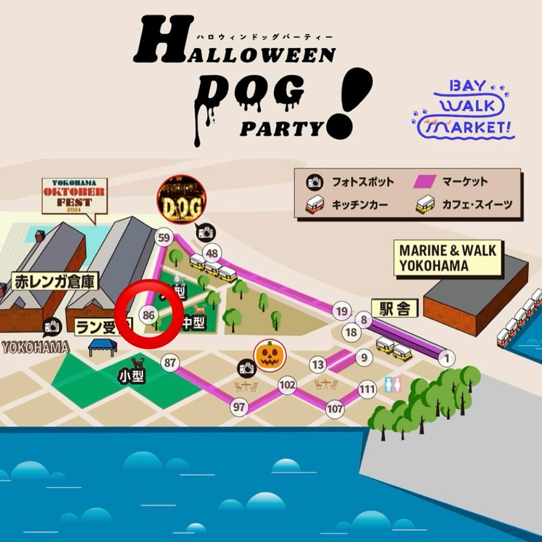 BAY WALK MARKET 2024 ハロウィンドッグパーティーDOGBASE YOKOHAMA出店場所86番