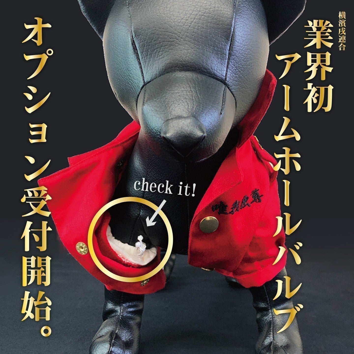 【腕抜け防止】ダックスちゃんも安心！新オプション「アームホールバルブ」