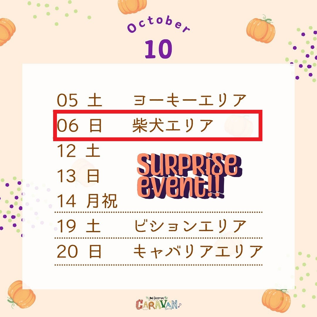 【2024年10月イベント出店情報　神奈川県】 "ドッグランキャラバン　柴犬エリア"