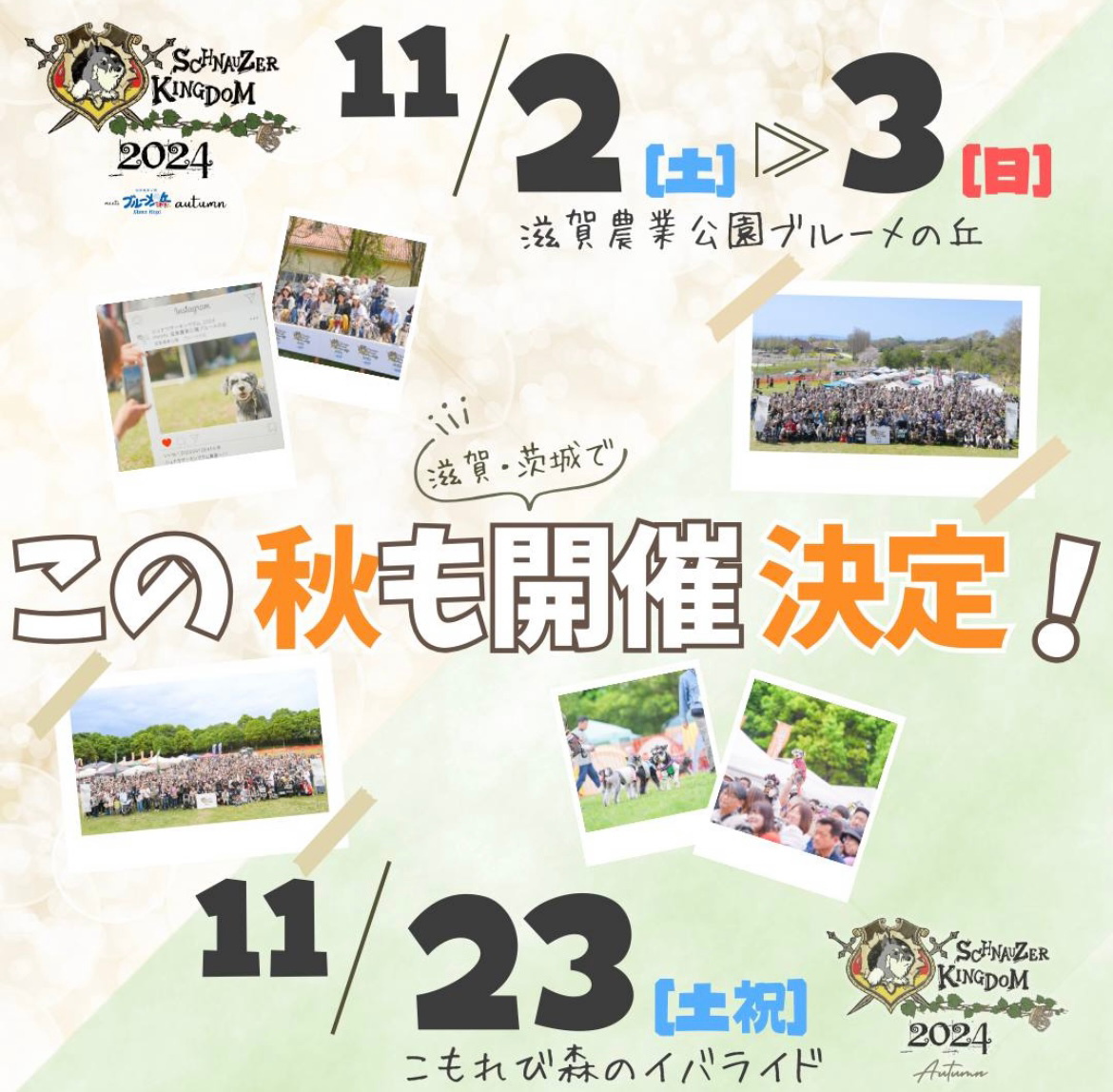 【2024年11月イベント出店情報　茨城県】"シュナウザーキングダム2024 Autumn"