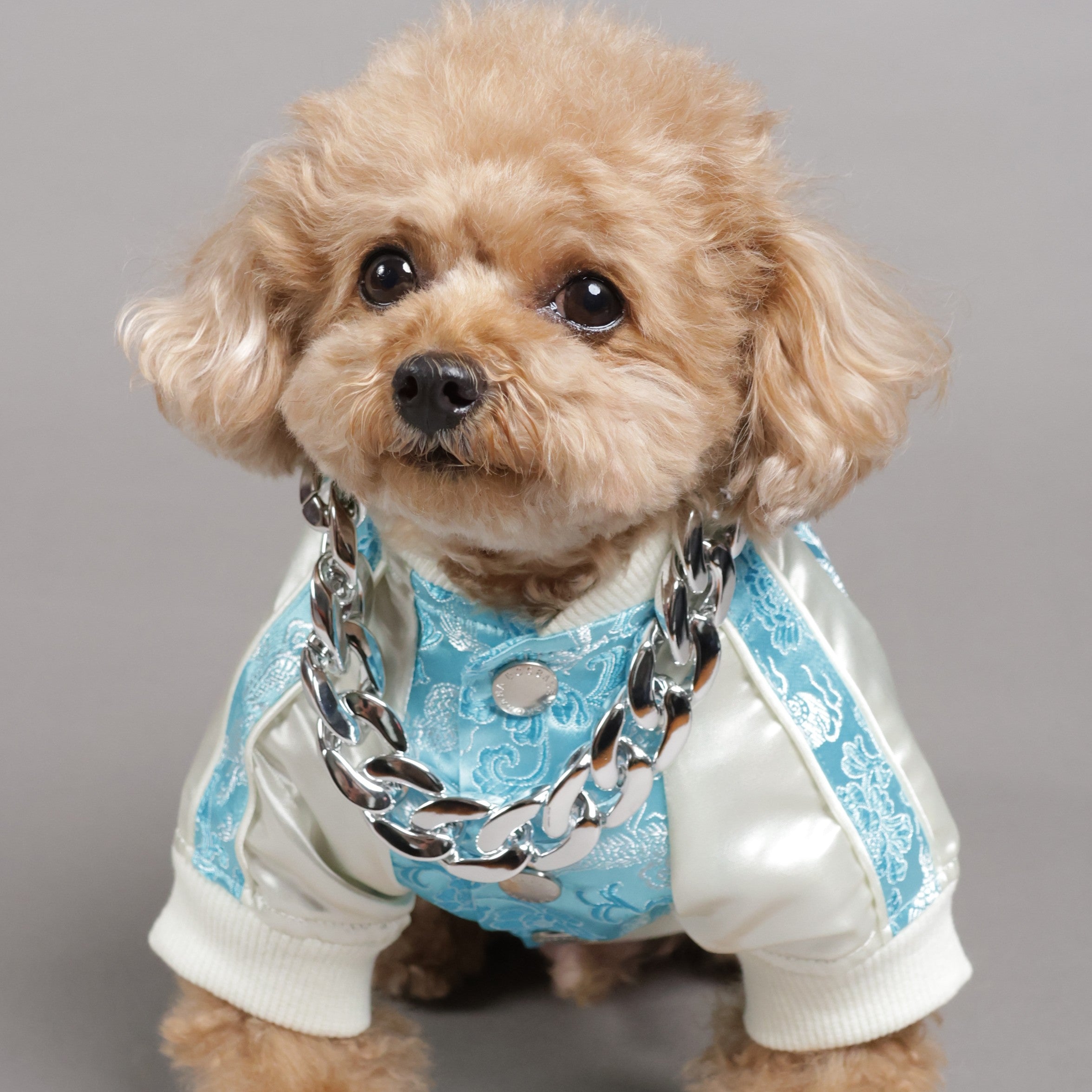 犬の洋服・オーダーメイド衣装通販のDOGBASE YOKOHAMA
