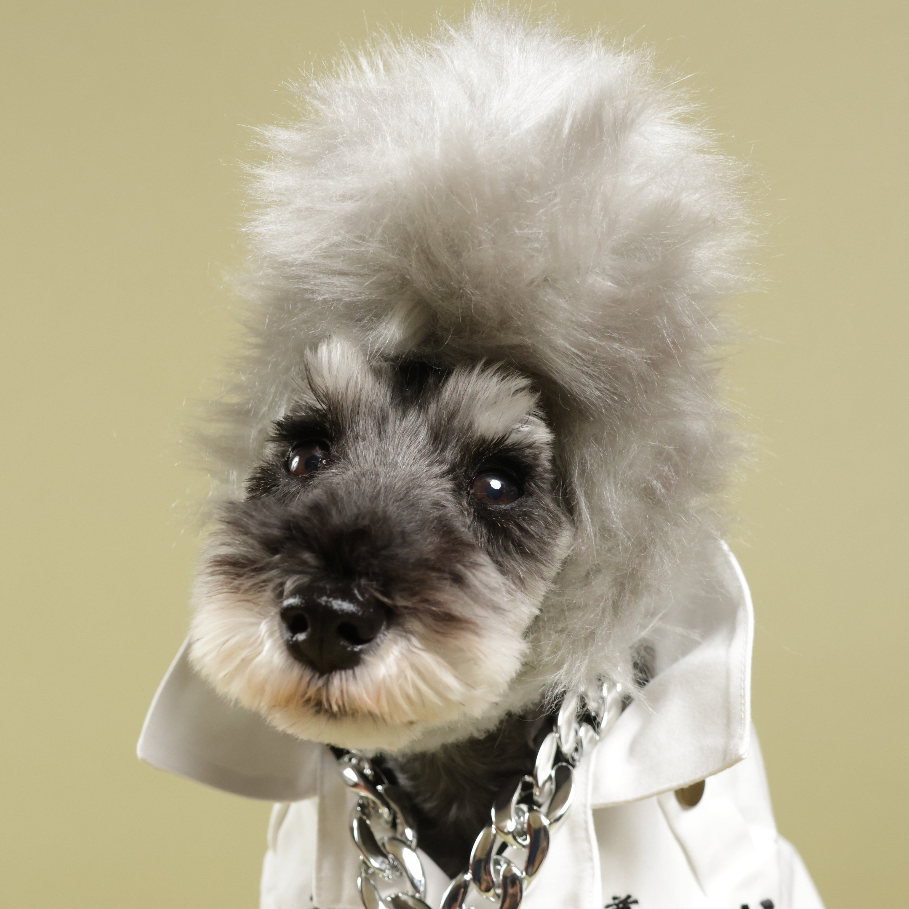 犬の洋服・オーダーメイド衣装通販のDOGBASE YOKOHAMA