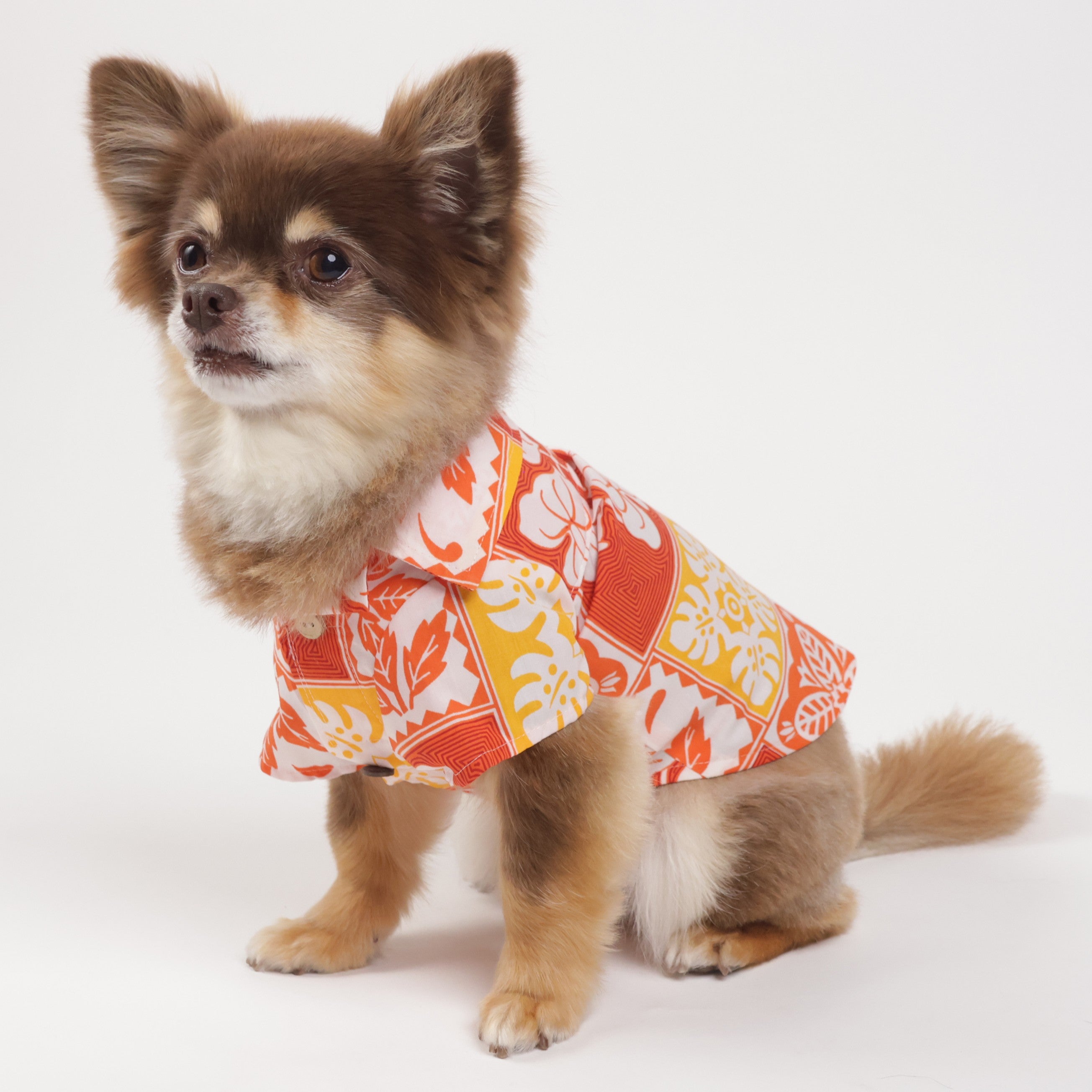 犬の洋服・オーダーメイド衣装通販のDOGBASE YOKOHAMA