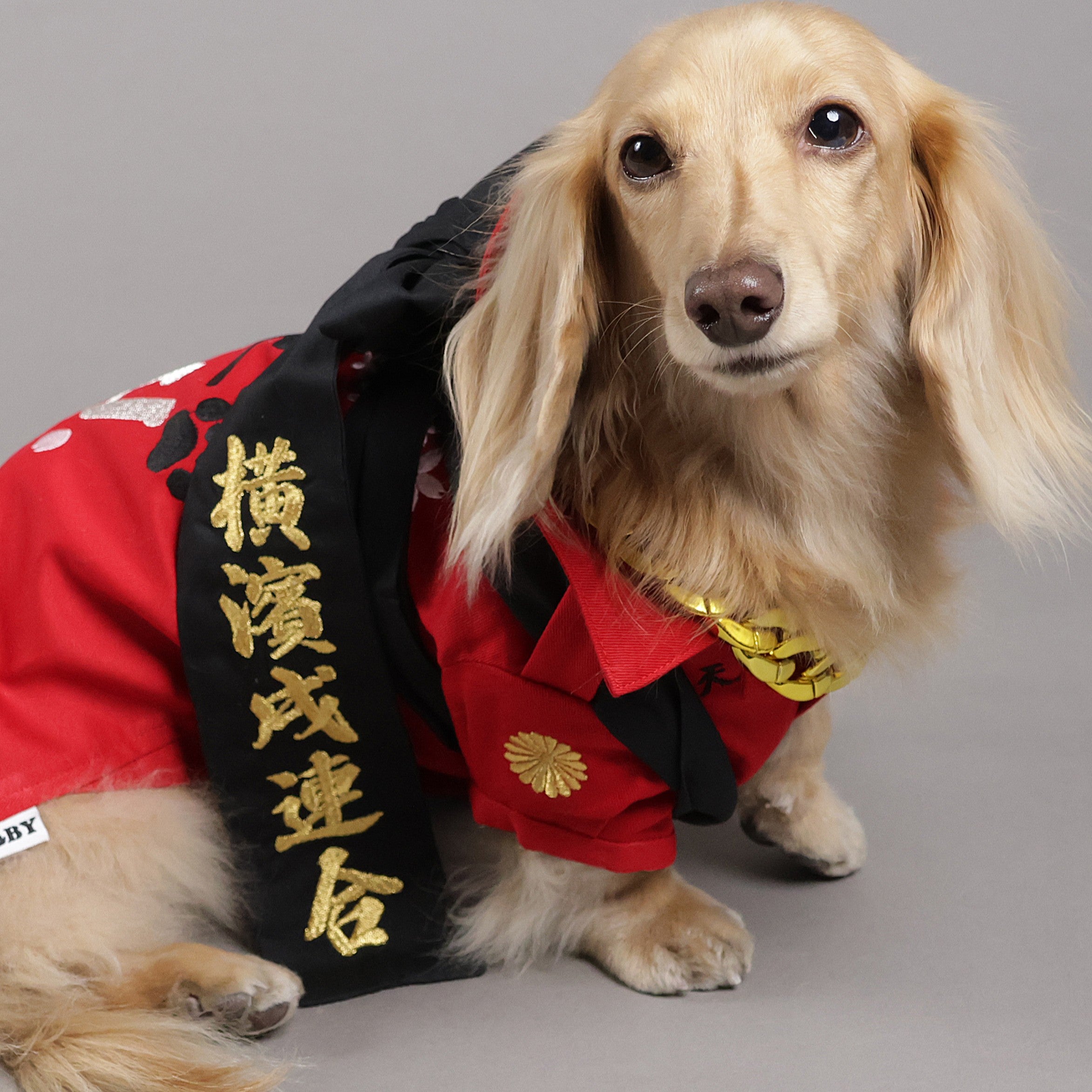 犬の洋服・オーダーメイド衣装通販のDOGBASE YOKOHAMA