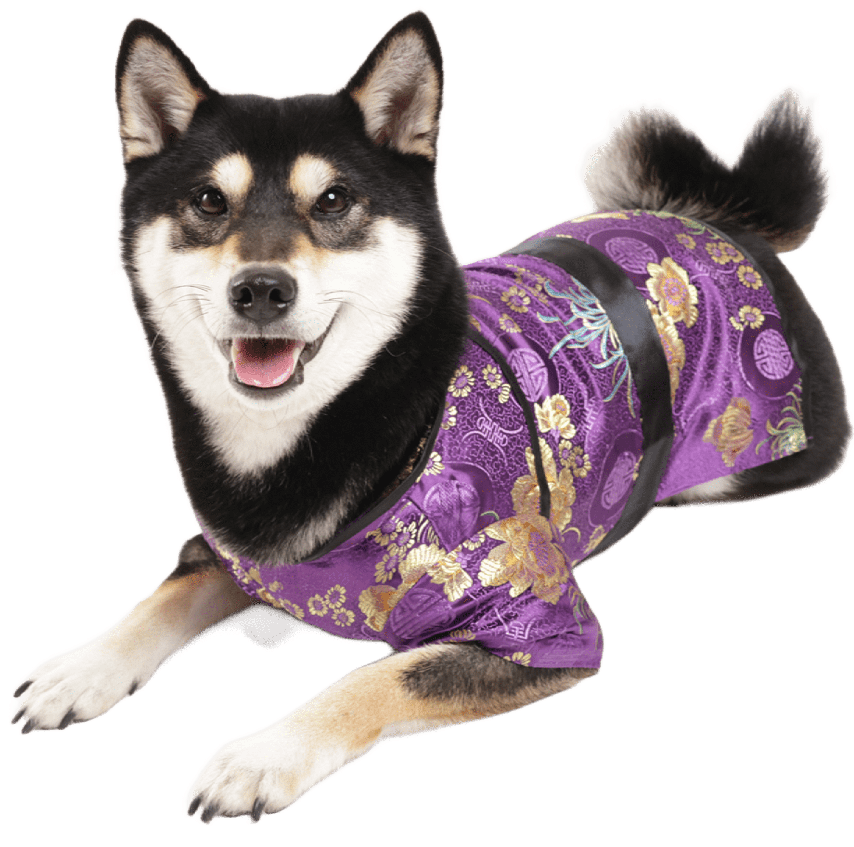 コンセプト・想い | 犬の洋服・オーダーメイド衣装通販 | DOGBASE YOKOHAMA コンセプト・想い | 犬の洋服・オーダーメイド衣装通販 | DOGBASE YOKOHAMA