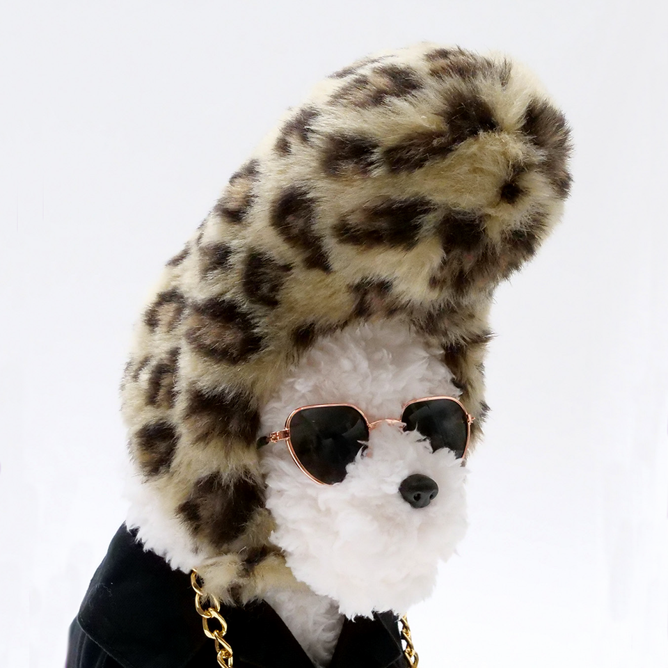 【DBYグッズ】はま連オリジナルリーゼント　ヒョウ