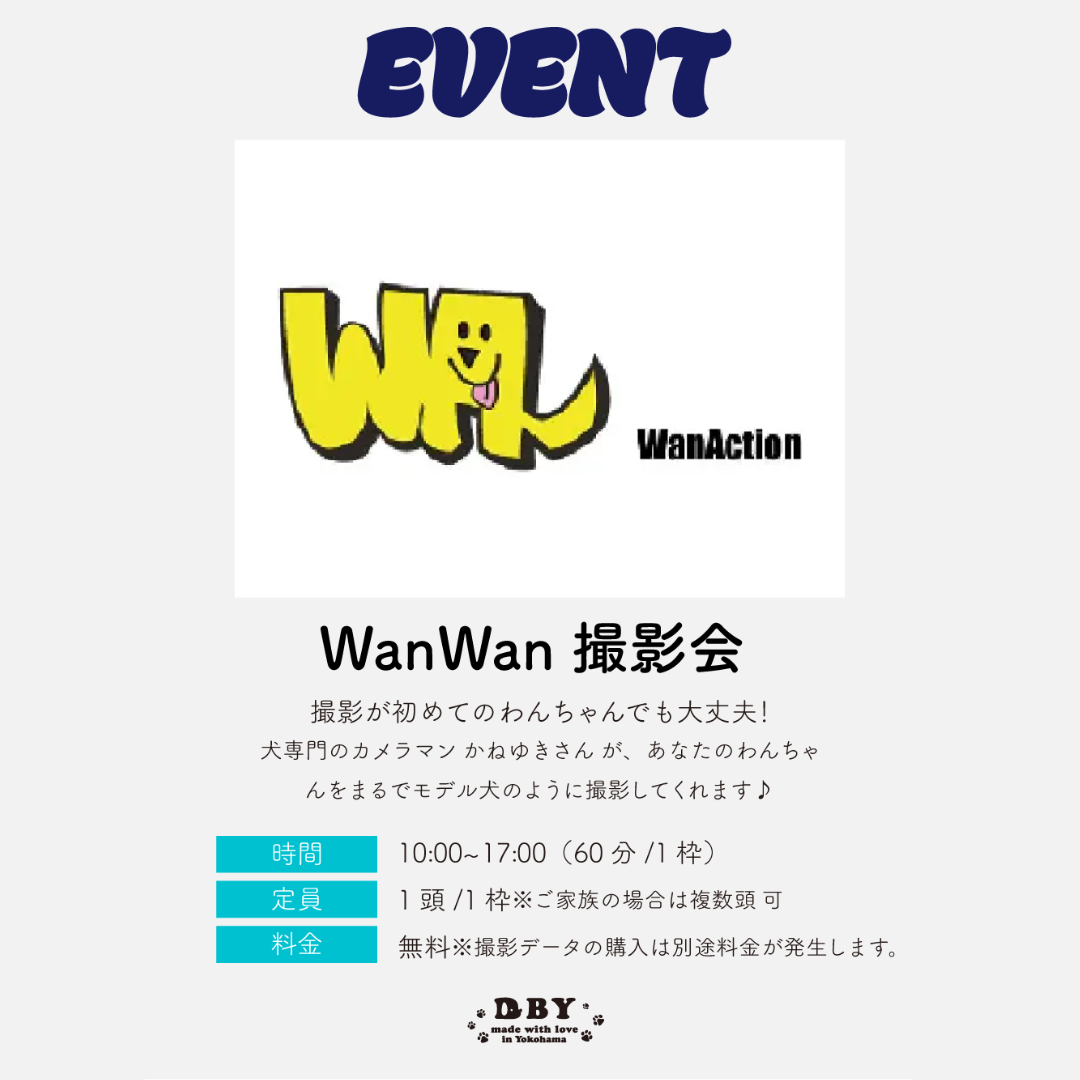 犬専門プロカメラマンによるWan Wan撮影会の愛犬の笑顔とポーズを捉えた写真