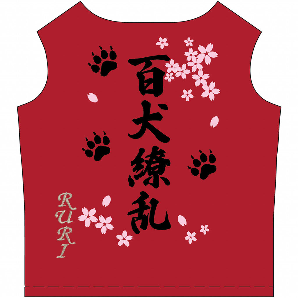 特攻服 ロングタイプ 22モデル 赤 ※名入れ刺繍オプション有り