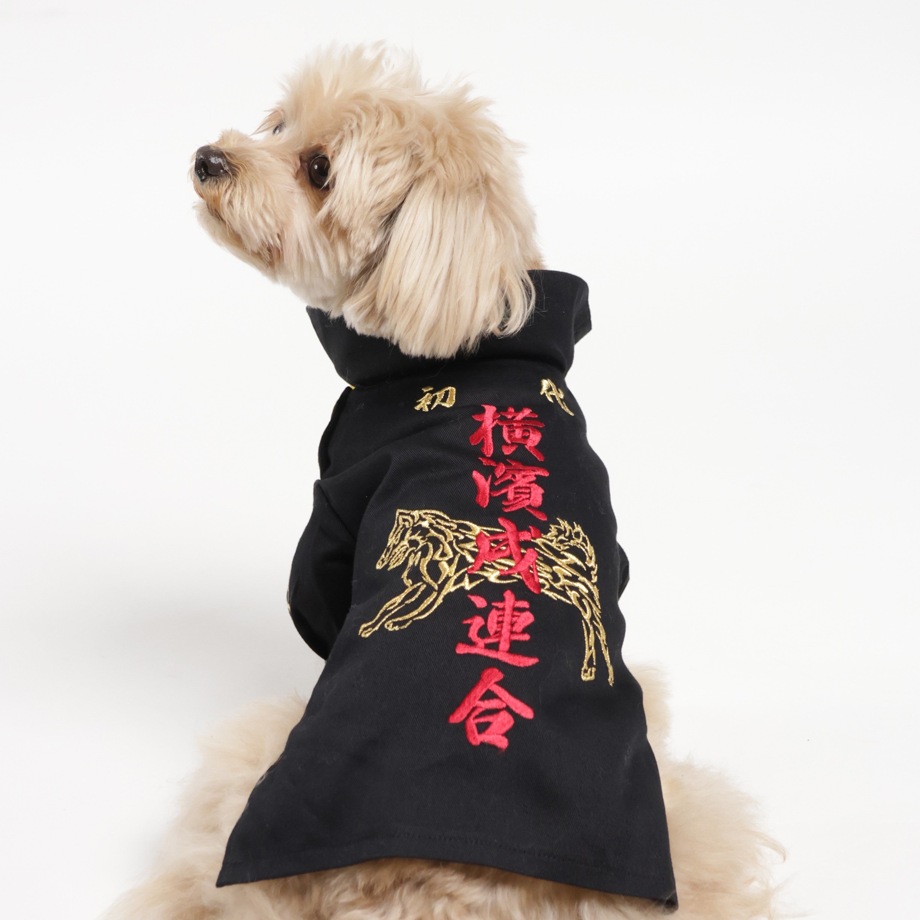 特攻服を着たトイプードル