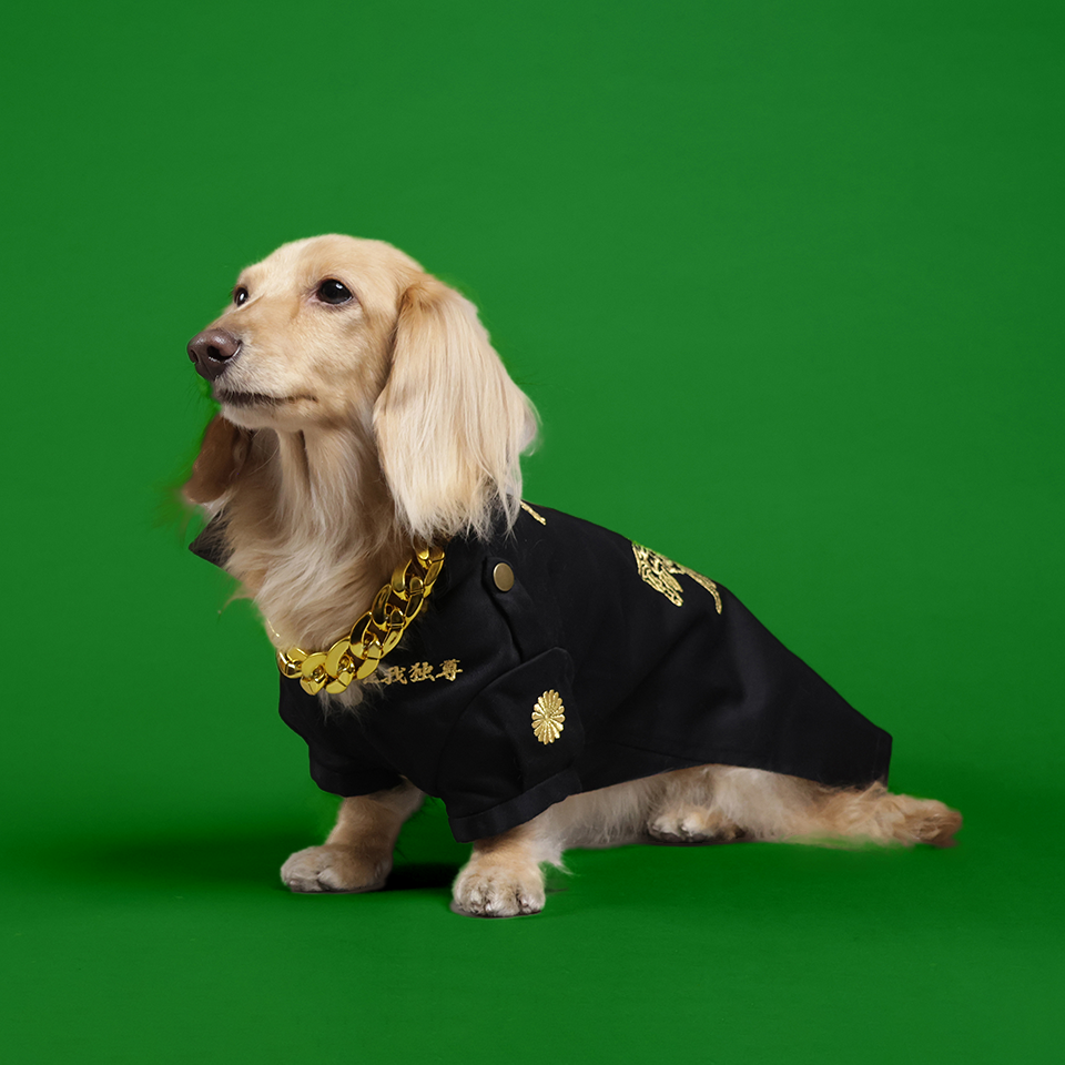 犬のお着物 | しぃ様 専用オーダーページ ヨーキーちゃん 和服 着物 和柄